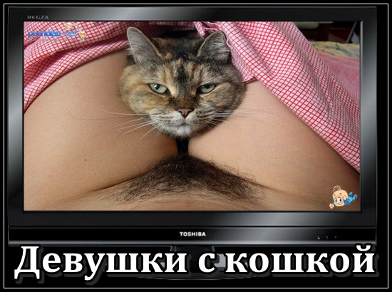 Девушки с кошкой