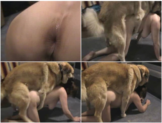 Knot | Zoo Sex Tube – 0535 Squeezing Dog Knot | Hidden Cam Bestia...