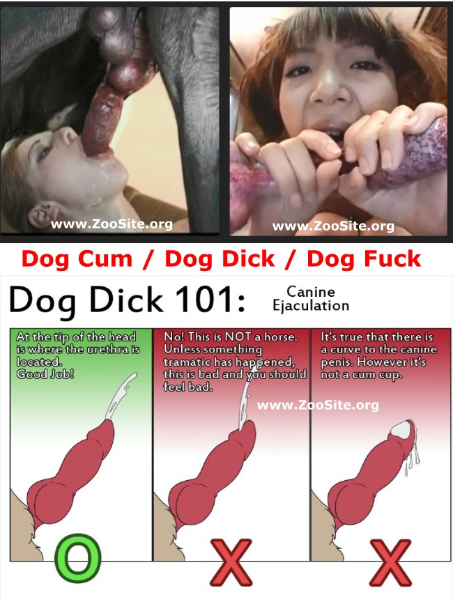 DOG CUM COMPILATION - How Make a Dog CumShots. 
